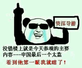  楼上楼下表情包