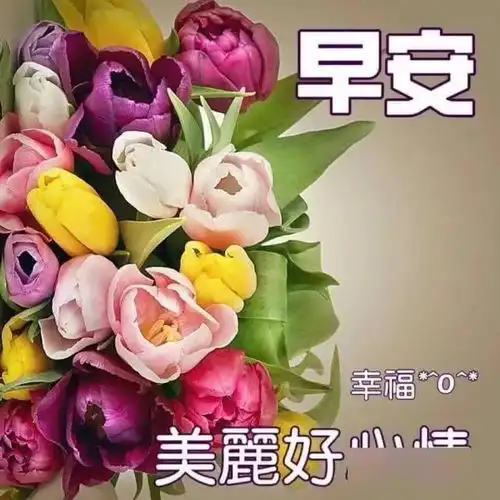 早早上好表情包大家早上