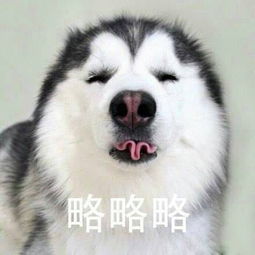  略略略系列表情包
