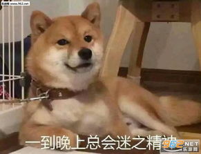  丑大婶走开好吗表情包吃一口吧特别香表情包图片下载乐游网游戏下载
