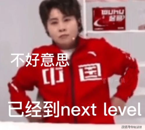  让吴京老师歇一歇王濛表情包来啦