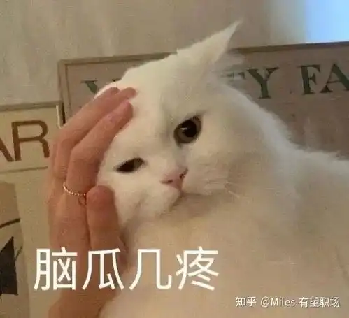  快手字节跳动纷纷取消大小周,加班要打申请,互联网人的春天来了吗