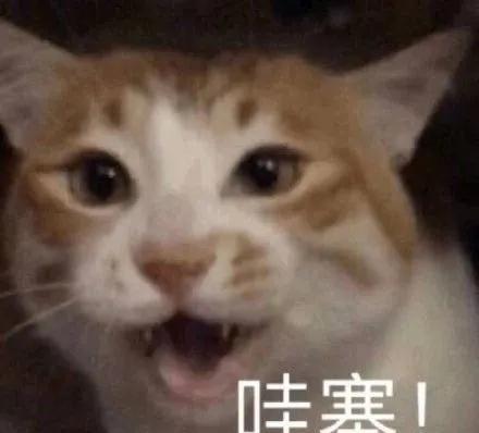  与健身教练在一起之后一时不知是亏还是赚