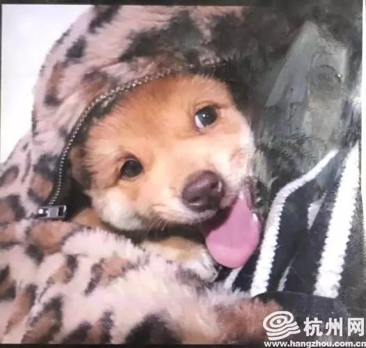  淮安人警惕20岁女网友抱着小狗来见面之后......