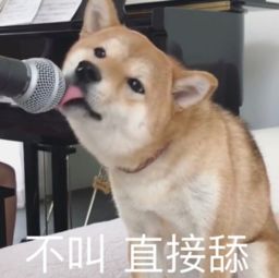  大b神脱口秀王思聪不仅欠我一万块钱,还欠我一部手机和一套手机壳