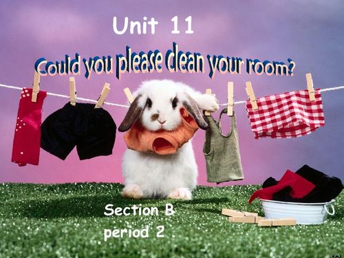  unit11couldyoupleasecleanyourroomsectionb3aselfcheck下载