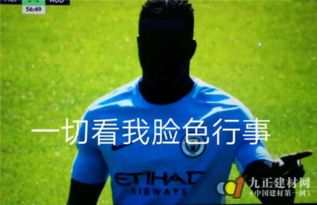  世界杯为什么每个球迷都需要一台维可陶智能马桶