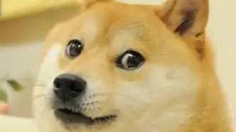 稳稳的接住柴犬表情包do