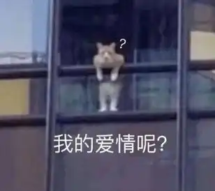 分析别人感情表情包表情