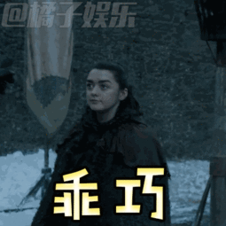 权力的游戏史塔克姐妹表情包,亲姐妹必须团结一致啊