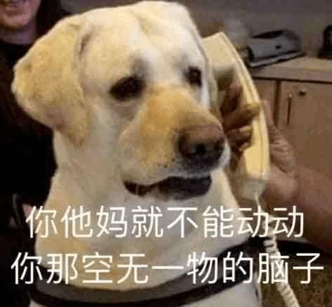  真就有人指望100多块的lv是正品