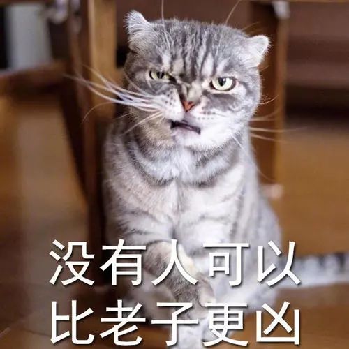  我哭的稀里哗啦,警察笑的写不了报告咋了他问我为啥被骗,我说因为我是憨憨