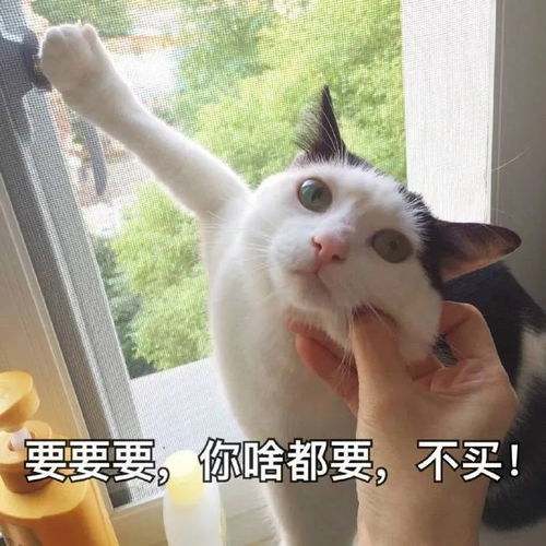  表情包强制消音