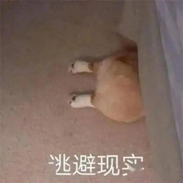  一波爆赞的壁纸头像表情包,biu