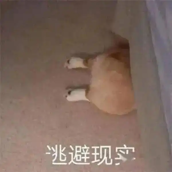  一波爆赞的壁纸头像表情包,biu