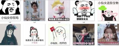  小仙女表情包小仙女图片无水印版软件下载