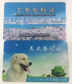  4只恶犬咬伤女童,狗主人居然跑了今天,这个厦门男子火了