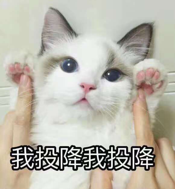 初一表情包吃饺子