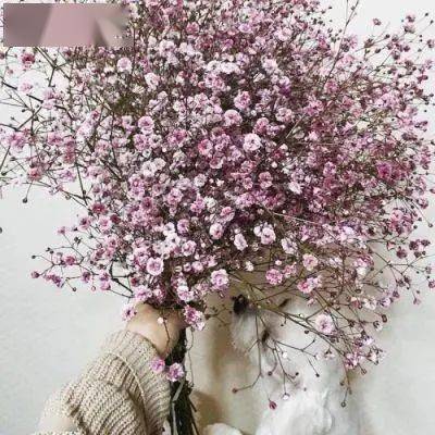  品读岁月的深情在光阴里流淌