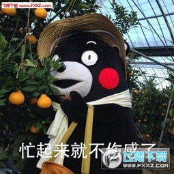  忙起来就不系类表情图片忙是治疗一切神经病的良药表情包下载飞翔下载