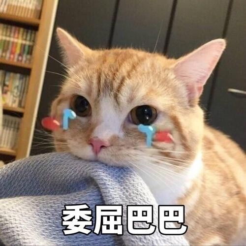  沙雕表情包丨男朋友生气了该怎么哄