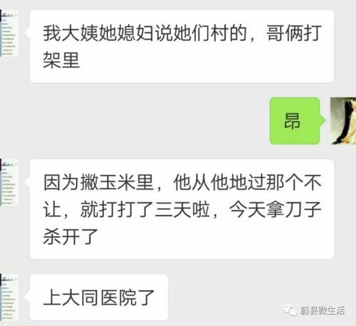 就为二分地亲兄弟动刀,儿子闺女女婿齐上阵,致一人死亡