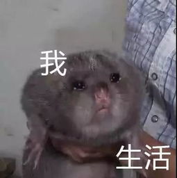  为什么手指甲长得比脚趾甲快