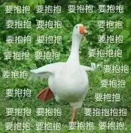  秘密结婚,婚后偷情黎明,患红斑狼疮被弃,周海媚人品演技都很烂
