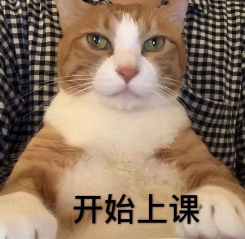 原来玻尿酸还能抗糖奇怪的知识增加了