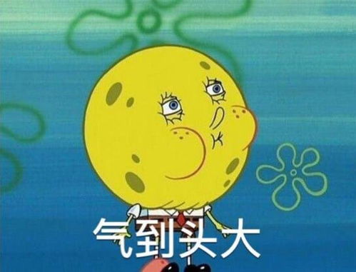 表情包图片搞笑小孩子海