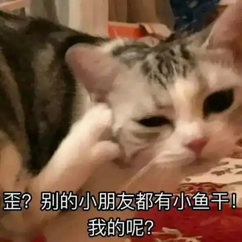  撩男朋友的猫咪表情包30张
