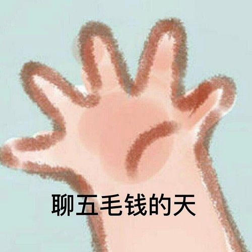 好奇心博物馆