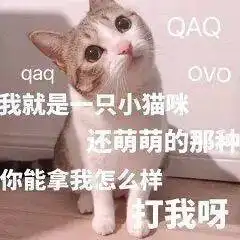  撒娇小猫咪表情包