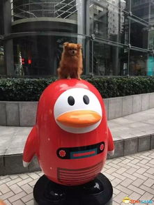  深圳腾讯大厦惊现70只巨人版qq企鹅画风太辣眼睛