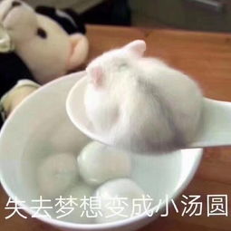  接两张无偿黑白稿,全是印象绘,注意容易ooc,需要的话美拍发云可心喵的美拍