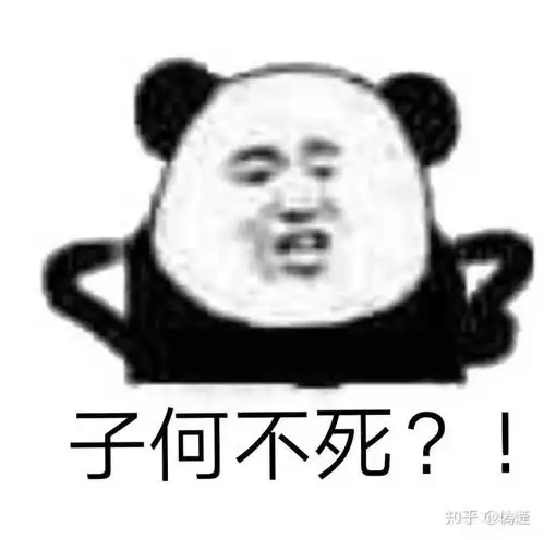  表情有没有功能很正经但让人莫名想笑的武器装备伪烟的回答表情