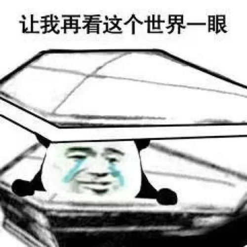  每日表情微信聊天表情包