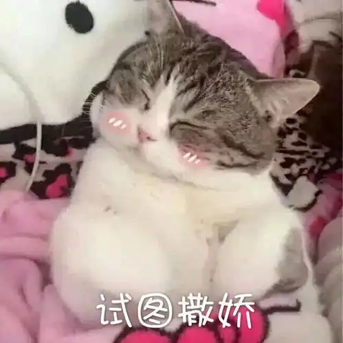  蒸时差