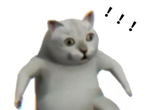  最近超火的痴呆猫表情包
