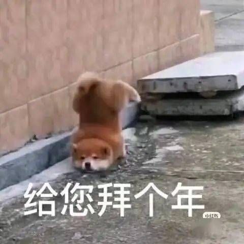  看这里拜年习俗有讲究