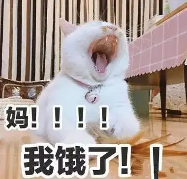  这6类人不适合出国留学,是你么
