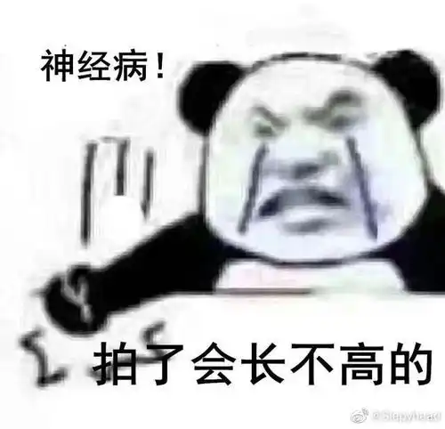  微信拍一拍有什么好玩的表情包啊