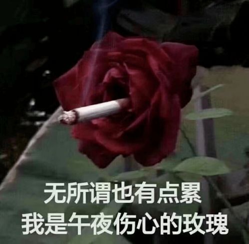 拔剑吧表情包池恩卓