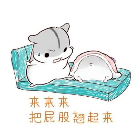  小仓鼠表情包媳妇,你究竟想干嘛