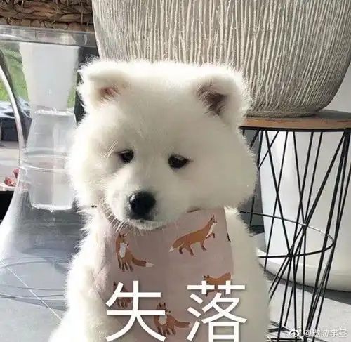  其它