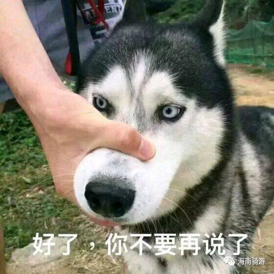  高考奇葩说之海南高考高分的秘密,只有我们知道