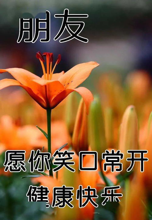 给钱的表情包动态图片送