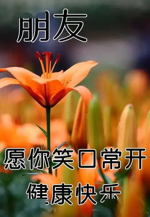  12月17日最漂亮早上好动态表情图片大全,早晨好动图美图大全
