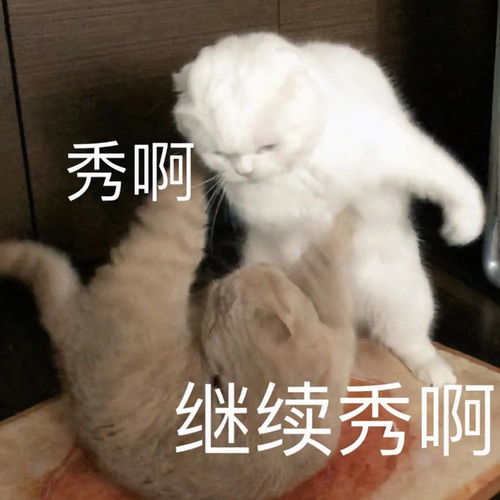  有一种烧脑,叫班主任调座位,看似平淡无奇,实则套路满满
