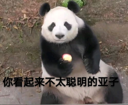 哔哩哔哩专栏
